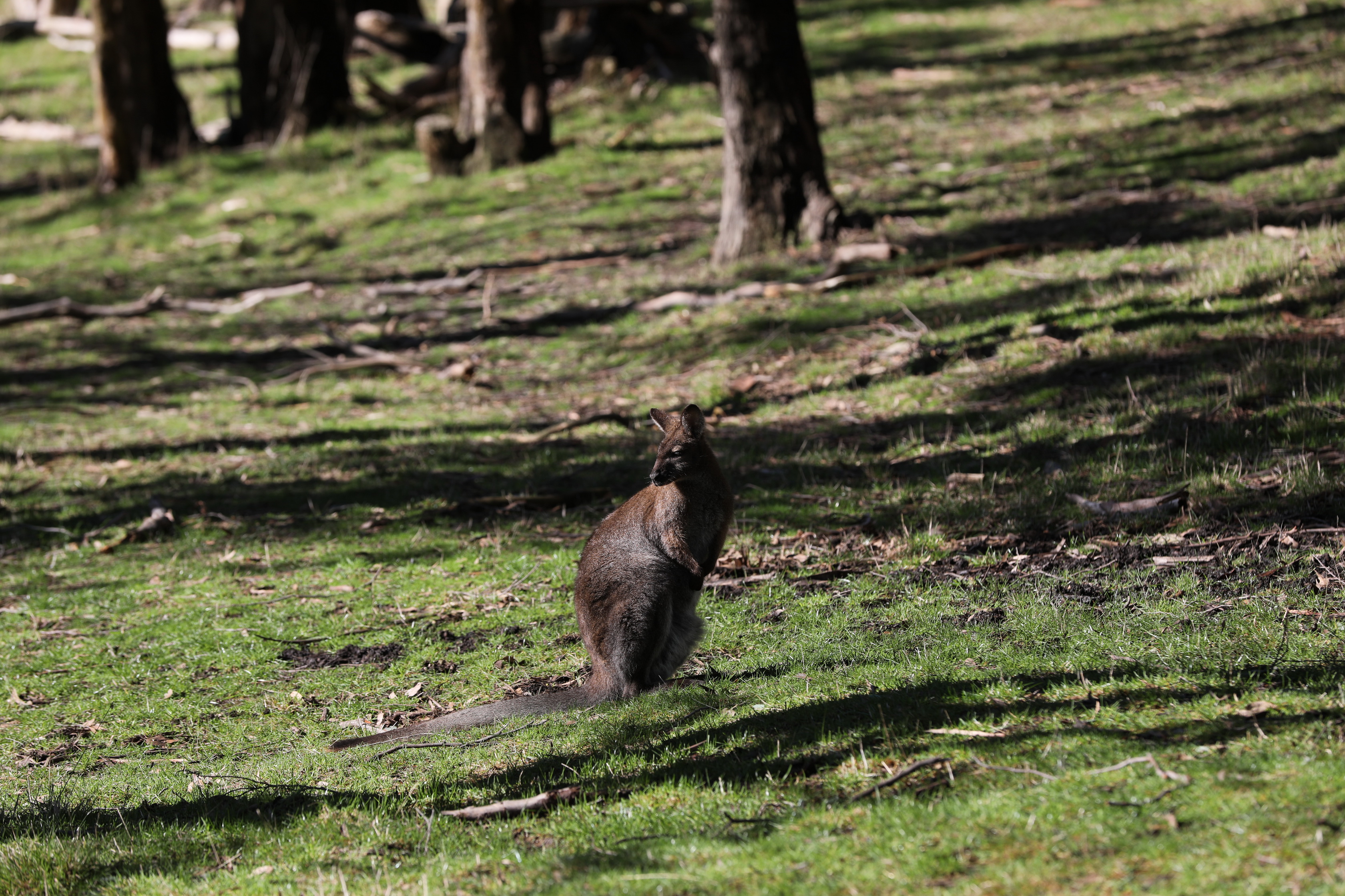 2019 07 19 14 17 25 Canon EOS 5D Mark IV 0025